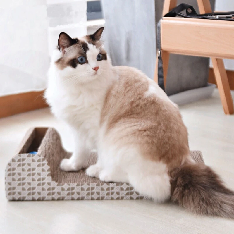 Оптовая продажа, новый дизайн, картонная Когтеточка для домашних животных, игрушка для кошек