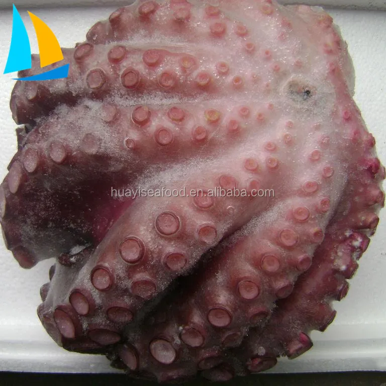 Farm Raised Iqf frozen octopus flower frozen baby octopus