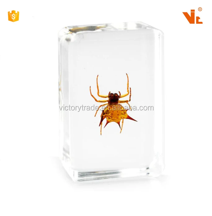 V-AMB005 transparent acrylic paper weight insect block paperweight