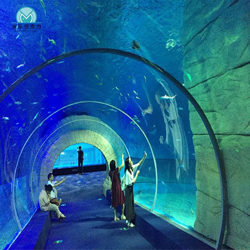 2023 exclusive custom finely crafted elegant new product tank plants aquarium tunnel