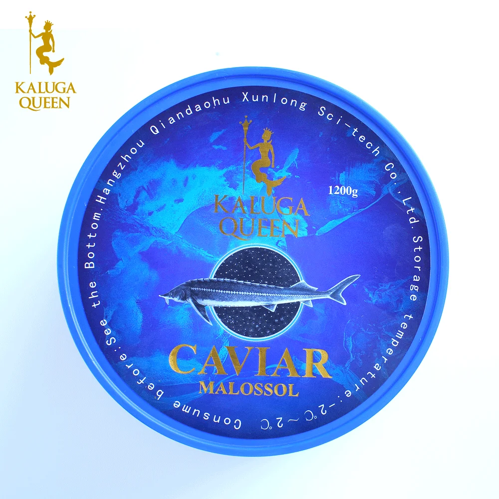 
Sturgeon farm produces Russian black caviar sturgeon 