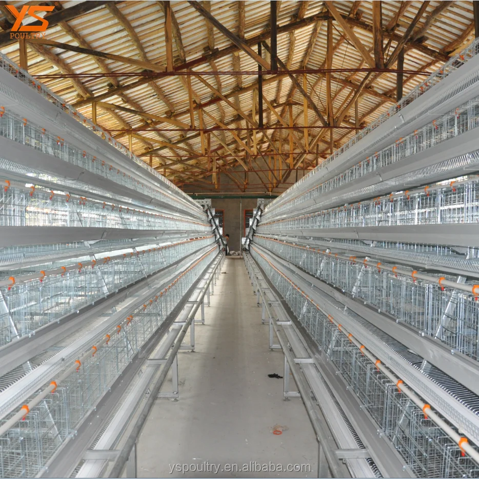 
Hot Galvanized A Type Battery Chicken Layer Cage 