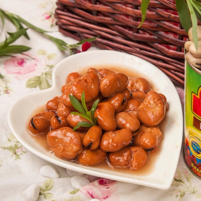 bulk canned broad beans fava beans foul medames in tins for sale