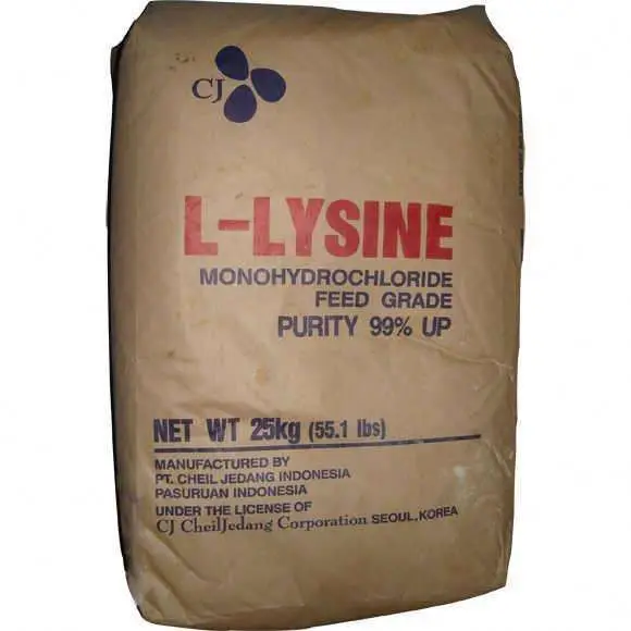 
Poultry Feed Additive L-lysine 99% L Lysine from Indonesia 