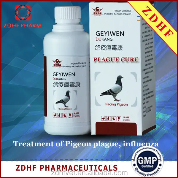 
Birds Enteritis Diarrhea Treatment For Racing Pigeons 