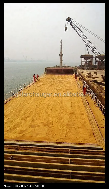 corn gluten feed bulk