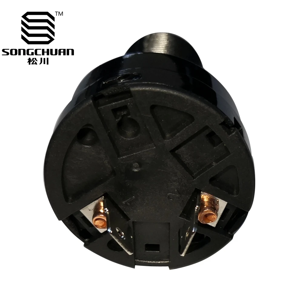 Replacement Ignition Key Switch with 2 keys for Club Car Precedent