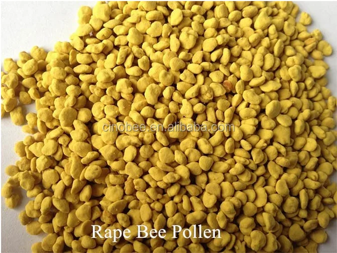 
Natural rape bee pollen for human food 