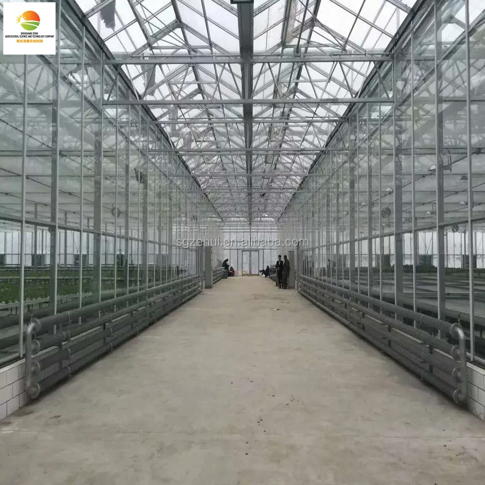 Multi-span intelligent commercial glass greenhouse