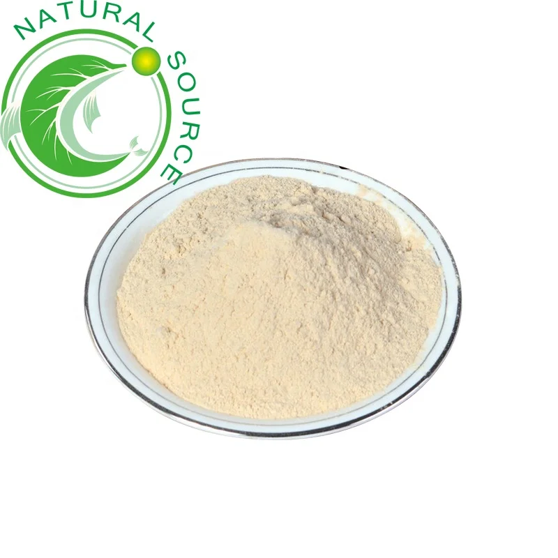 Wholesale GMP Standard High Purity Natural Bulk Dehydrated Onion Powder For Seasoning