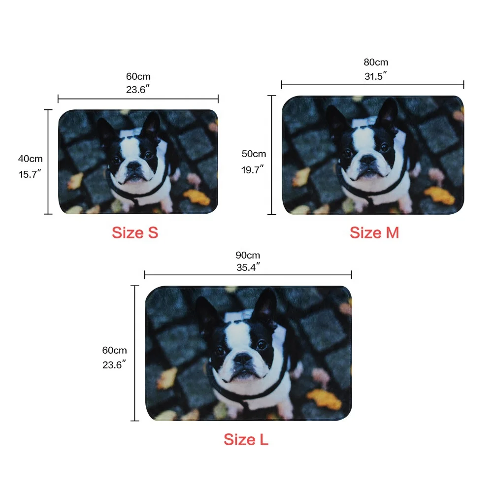 Pug Dog Front Rubber Door Mat Cute Animal Photo Floor Mats