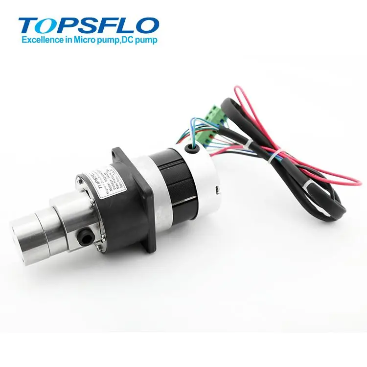 Внешний Шестеренчатый насос постоянного тока