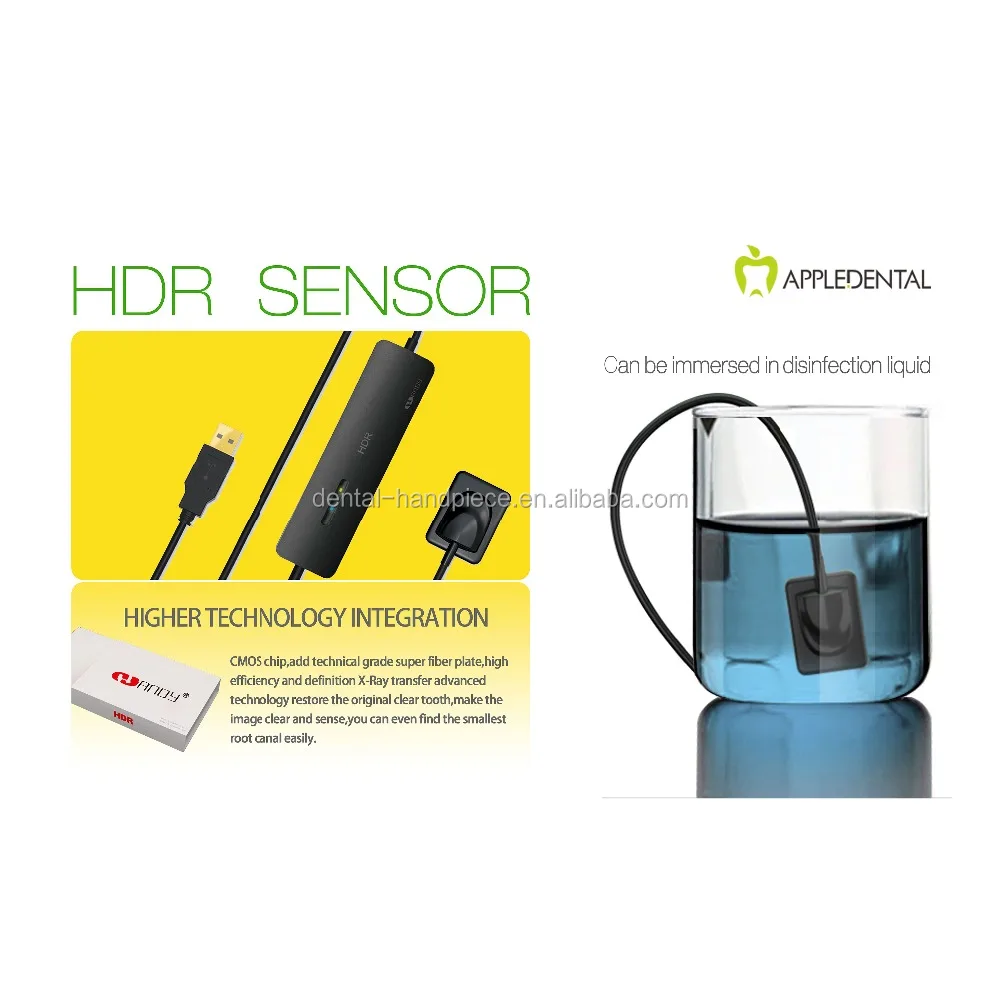 LED handpiece or Dental X ray sensor Promotion HDR Digital Dental USB X-ray Sensor/Dental RVG