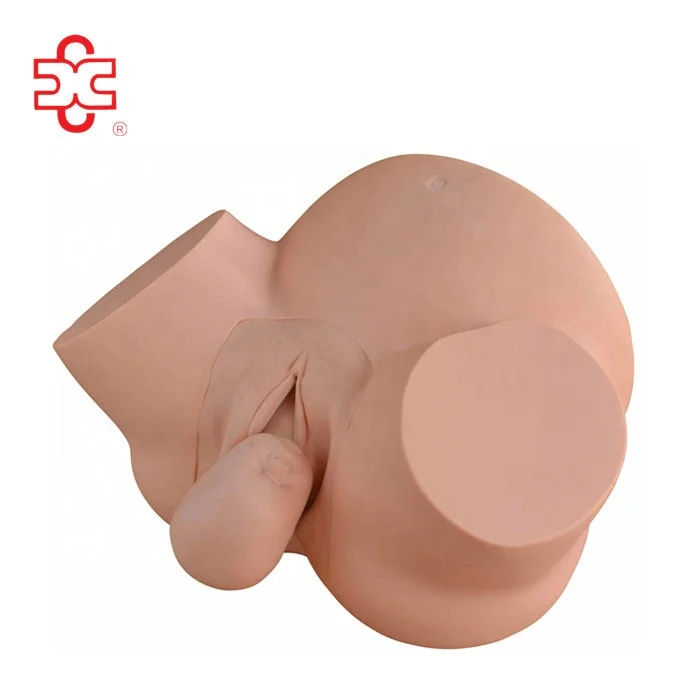 human Midwifery Training medical Simulator