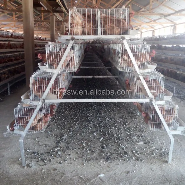 BAIYI Chicken Coop in India Malaysia Pakistan