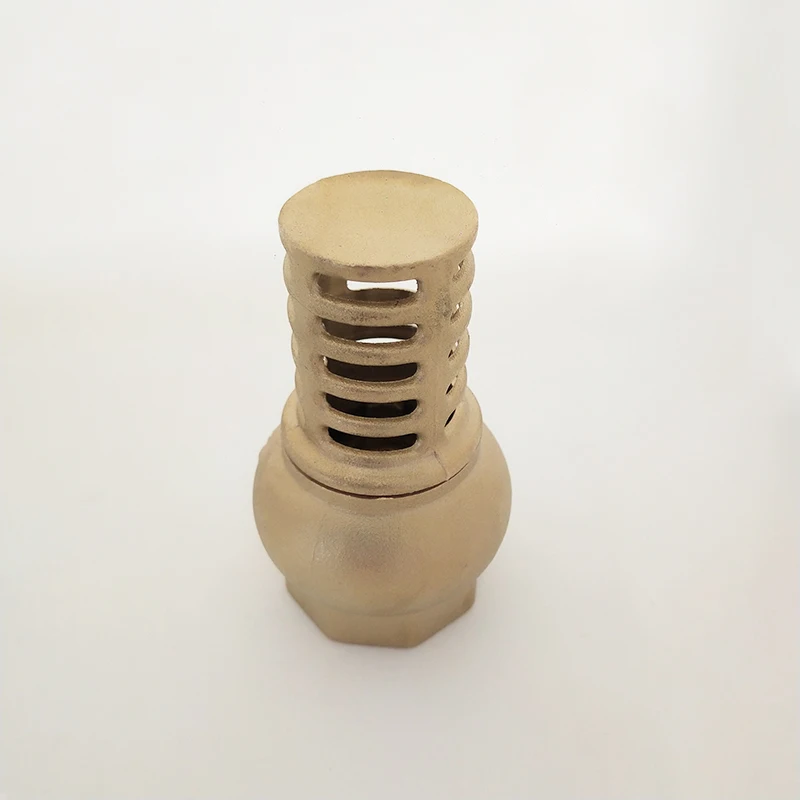 BSP Female Brass Foot Valve And Strainer For Pump