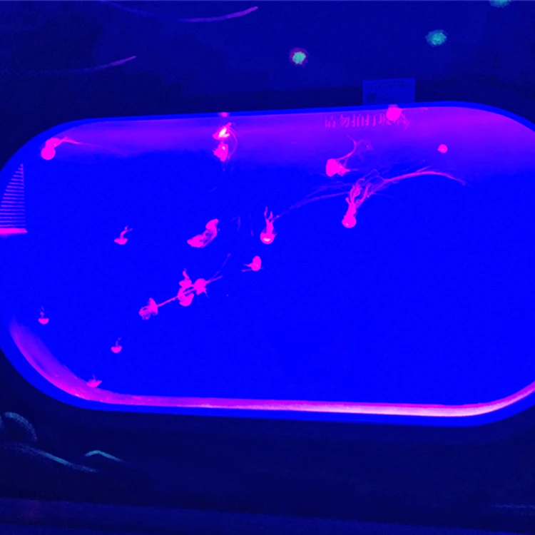 2020 Acrylic Jelly Fish Tank Producer; Custom acrylic jellyfish aquarium