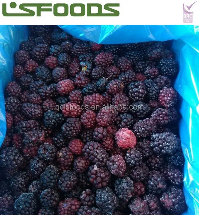 
China Wholesale Frozen Blueberry Bulk frozen blackberries 