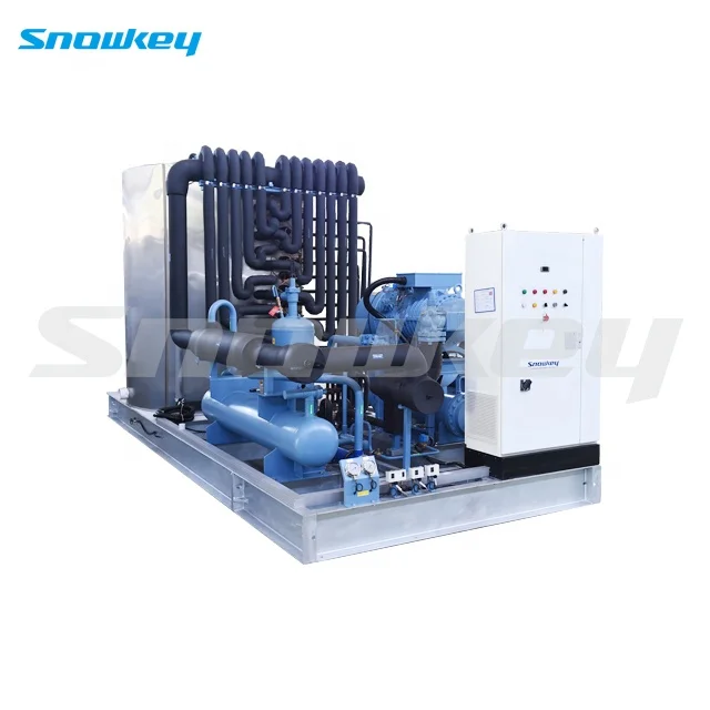 
Snowkey 0.5-60T/Day China Flake Ice Machine 