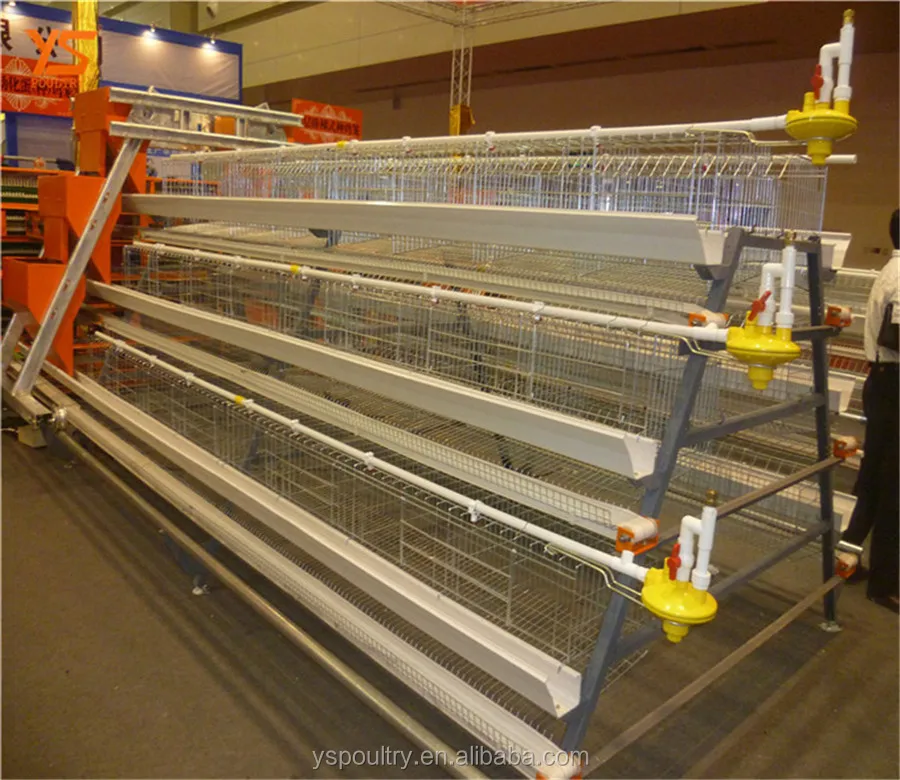 
fully automatic egg laying chicken poultry farm for sale in Ghana 