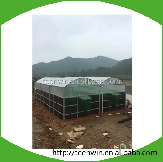 Pig farm manure biogas plant