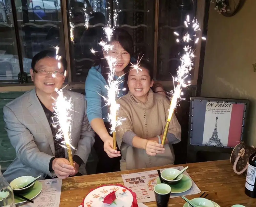 Europe market hot sale best price 15cm45s birthday candle ice fountain fireworks