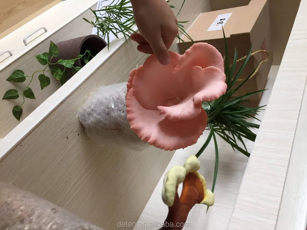 
Detan Oyster Mushroom Bags 