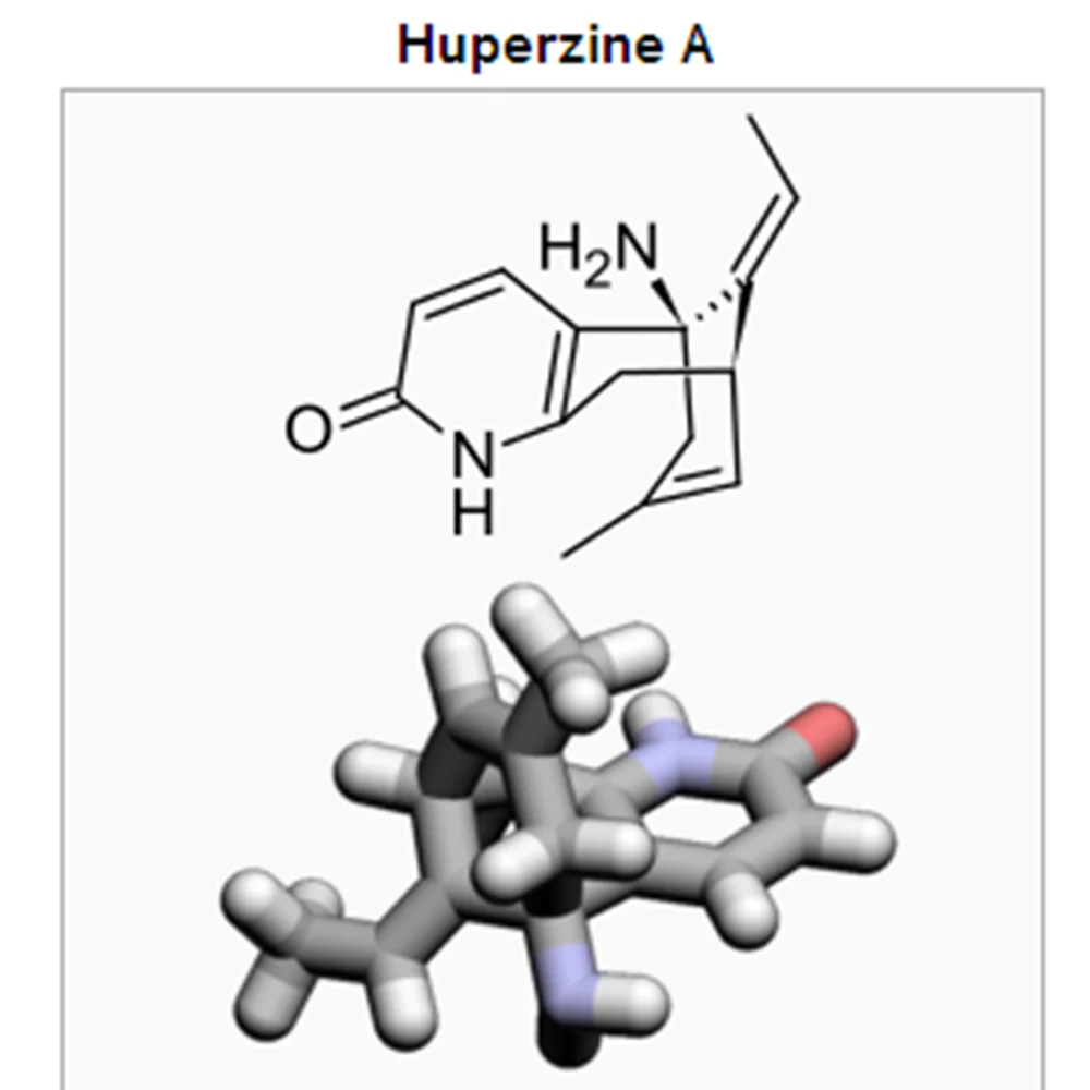 Free sample factory supply 1%~99% huperzine A powder huperzia serrata seed extract/huperzine a Powder
