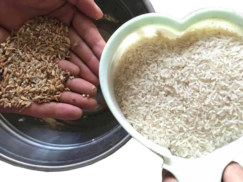 Hot sale Intelligent full-color CCD 6 Chutes Rice color sorter/rice sorting machine by Chinese manfauture