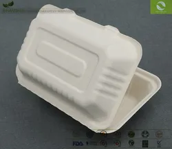 Take away biodegradable freezer safe lunch box