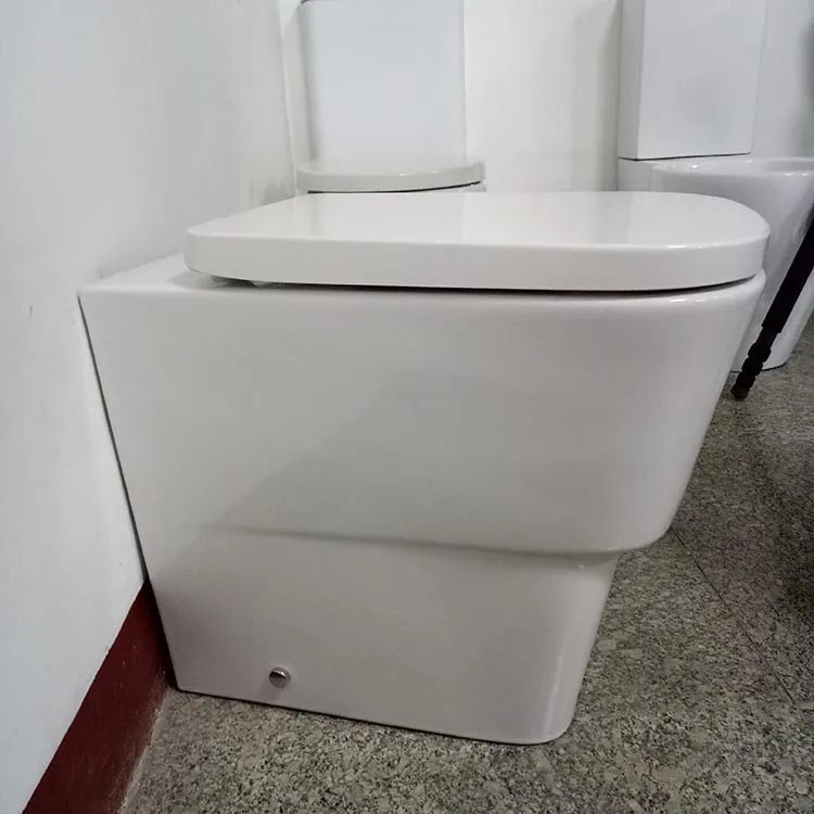 
Child Closet Kid From China Sanitary Ware Bowl Cheap Two Piece Back To Wall Ceramic Toilet 