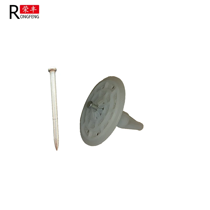 Insulation Nails In Thermal Insulation Board Fixing with all sizes