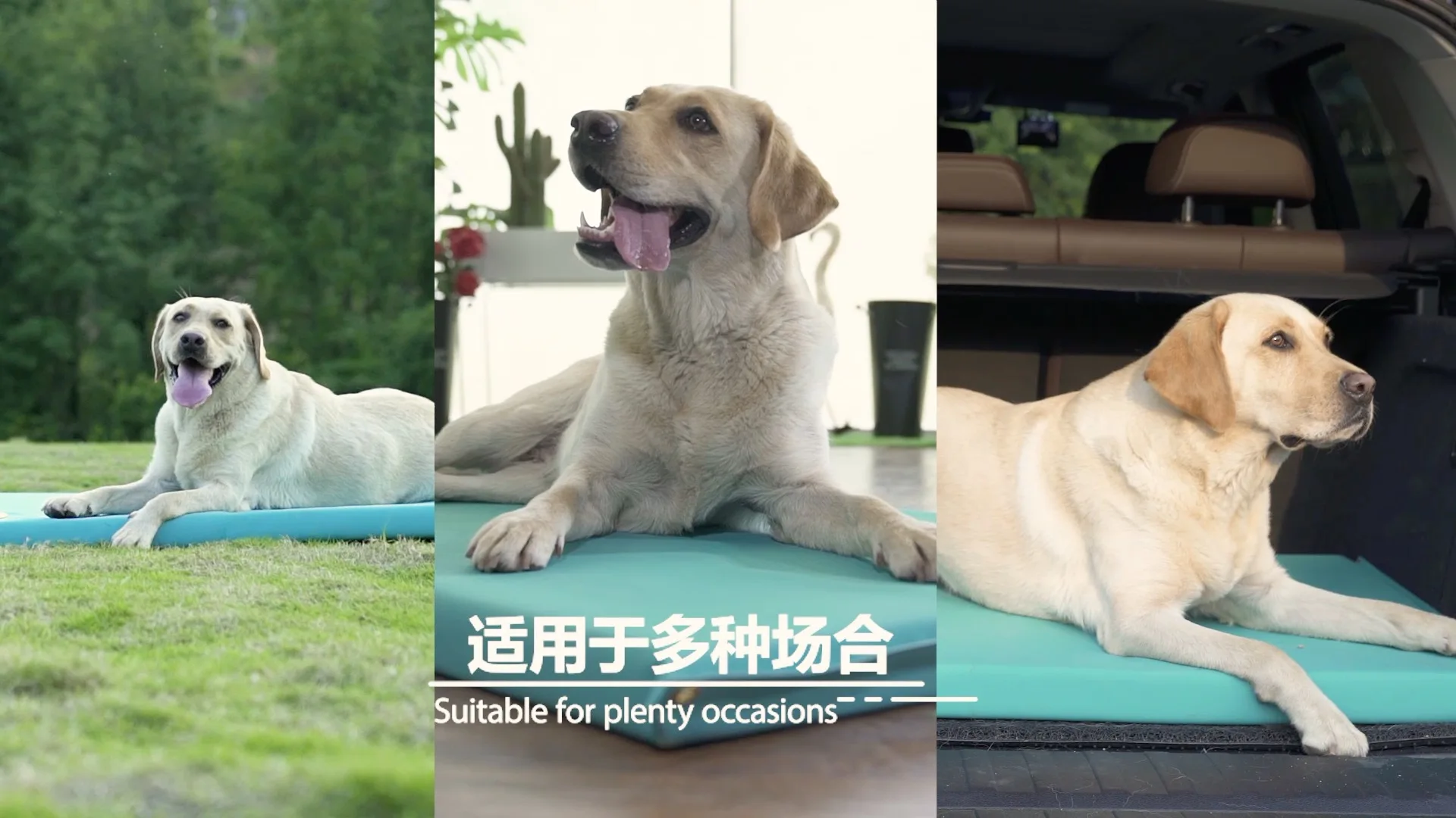 
Pet Heat Mat 540G 610G 700G Glossy & Matte 
