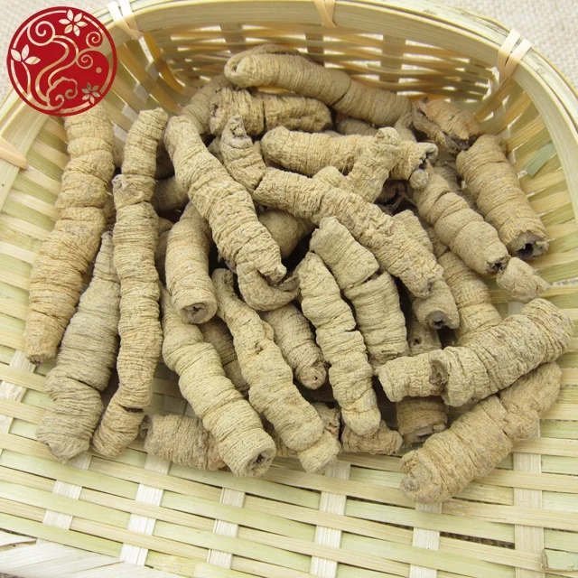 GMP standard Morinda officinalis Ba ji tian