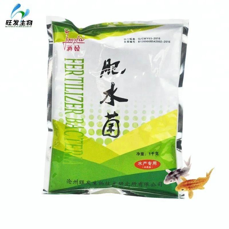 
Probiotic use in aquaculture for purifying the water and nourishing the pond water 