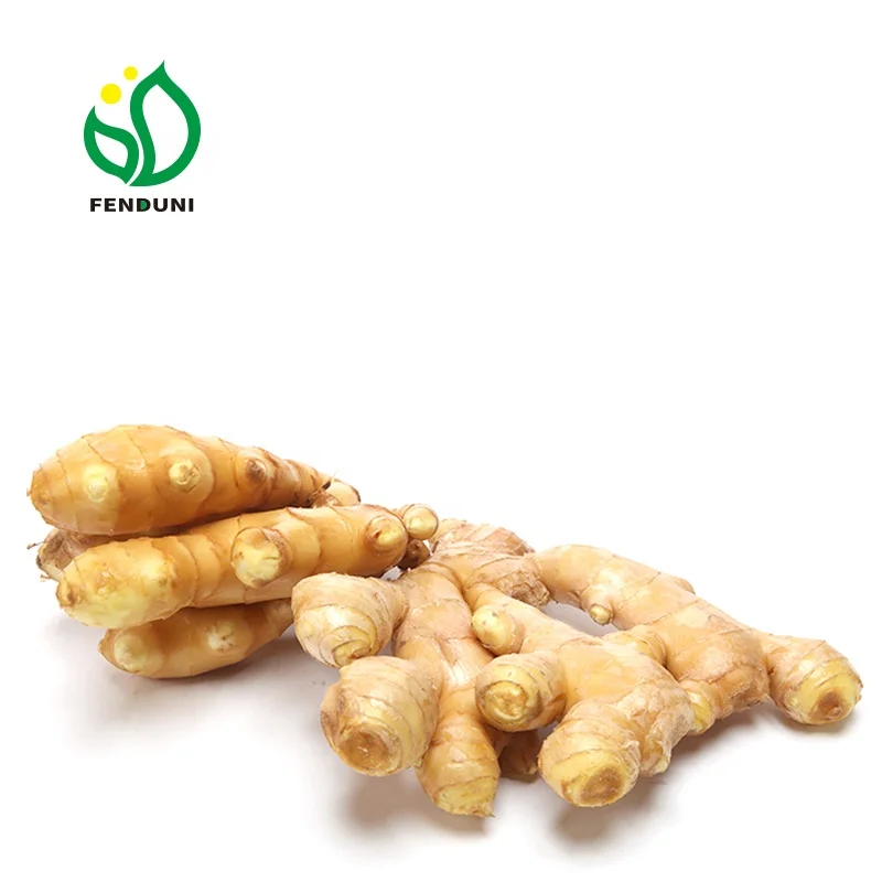Chinese Mature Fresh Ginger For Sale(Mesh Bag Packaging)