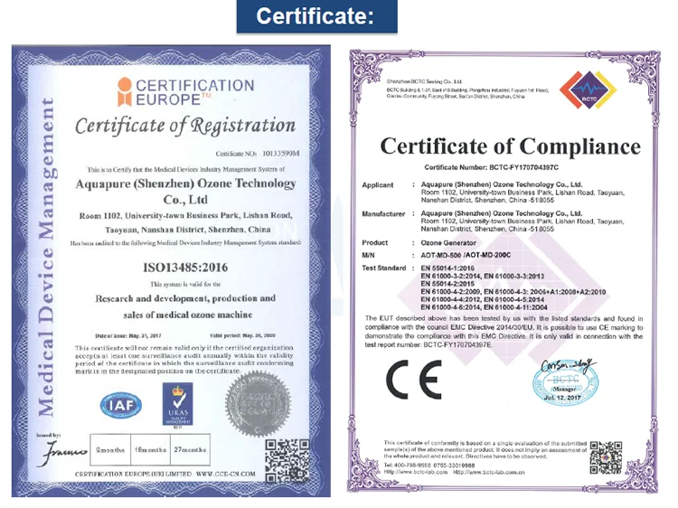 6 ozone therapy device