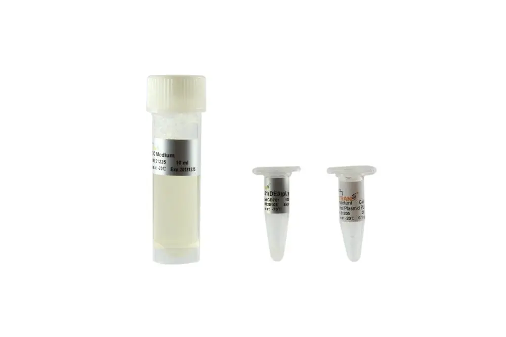 BL21(DE3) pLysS Chemically Competent Cell