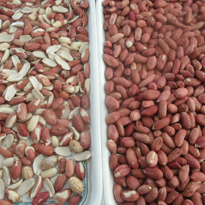 Automatic Coffee Peanut Nut Sorter/Color Separator/Beans Sorting by Chinese Factory