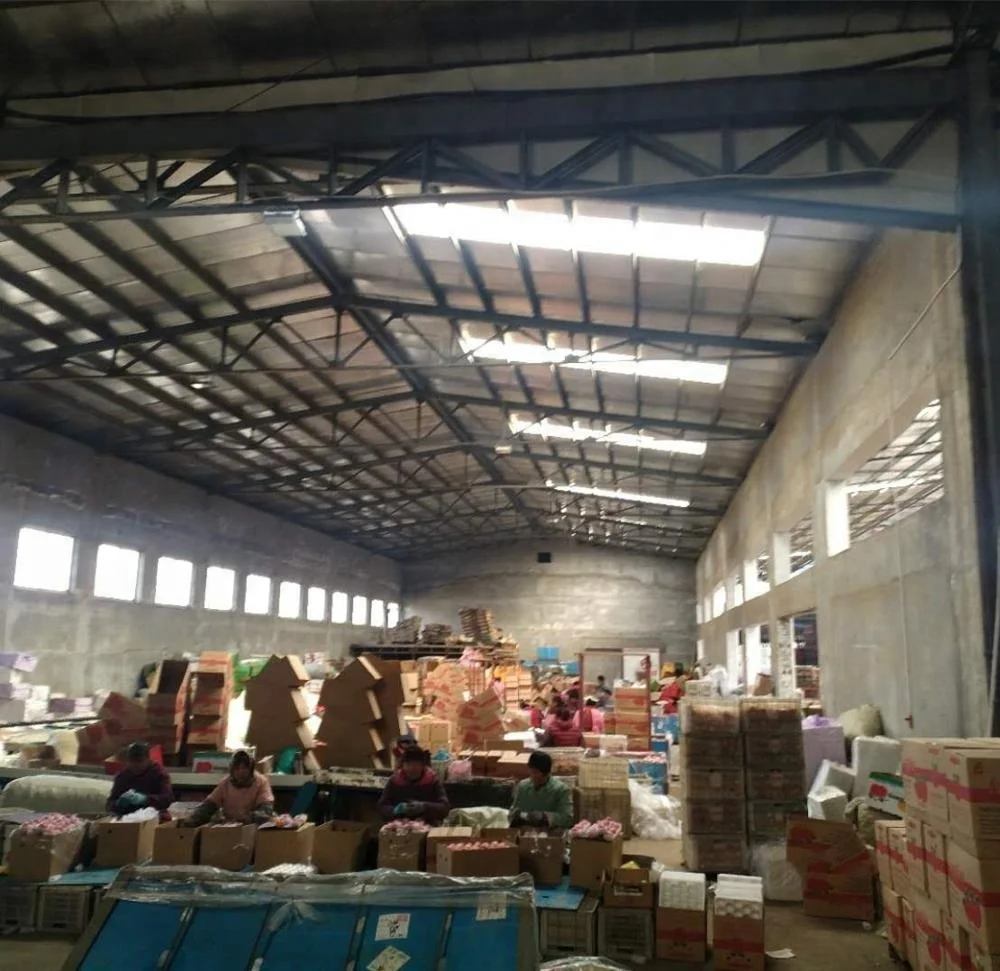 Класс fuji apple/shandong fuji/yantai fuji