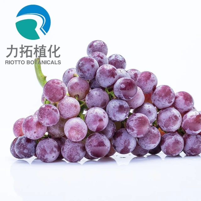 
Fruit Juice Powder dried grape pulp powder 