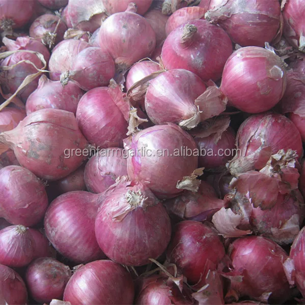 Large quantity of fresh red Onions for sale ,  seeking global onion buyers