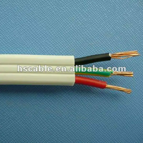 Electric_Twin_and_Earth_Cale_from_Hesheng