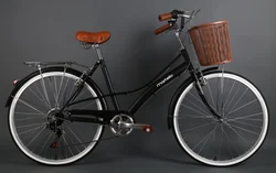 Промоакция от производителя, голландский велосипед с рамой из высокоуглеродистой стали диаметром 26 дюймов и городской велосипед с корзиной bikilist /bicyclette/Fahrrad для женщин