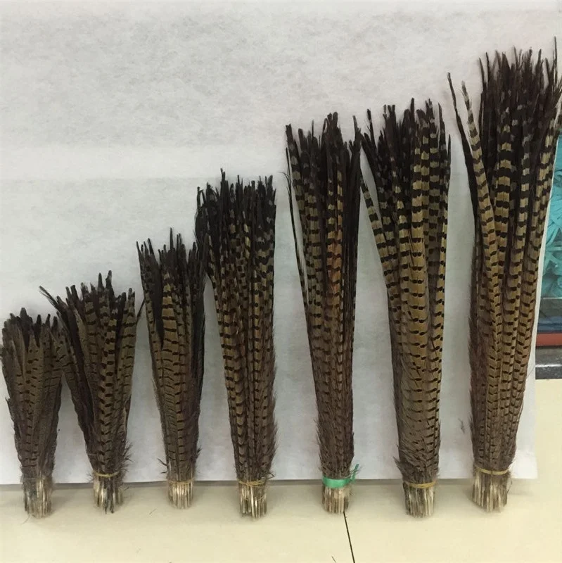 China factory wholesale 60-65cm natural colour pheasant feather