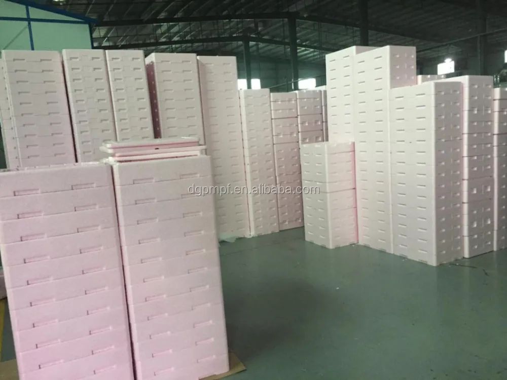 Lightweight custom design EPP foam Packaging for electronic products