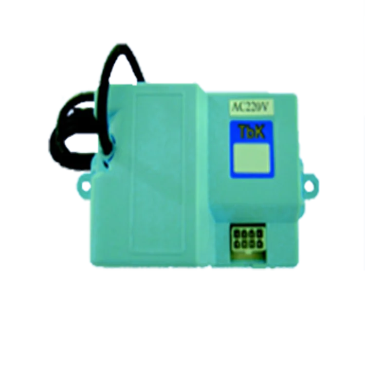 Воспламенитель