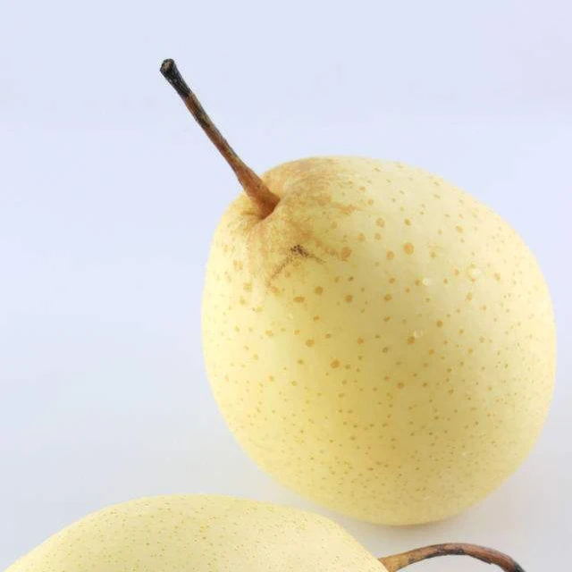 Snow pears Pear Chinese fresh Fruit boxing Pear at Bulk Price