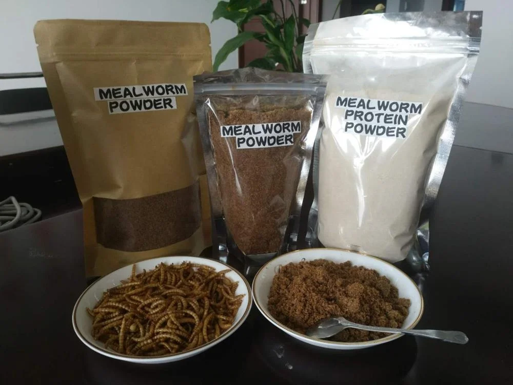  Insect Human Food Additives Mealworms