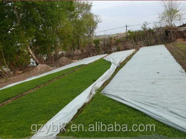 
Anti-UV Pp Spunbonded Nonwoven Fabric Garden Ground Cover Fabric,Frost Cover Fleece/blanket/fabric 